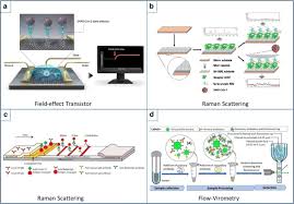 We use the cell phone to energize the metal detector. An Overview Of The Use Of Biomaterials Nanotechnology And Stem Cells For Detection And Treatment Of Covid 19 Towards A Framework To Address Future Global Pandemics Springerlink