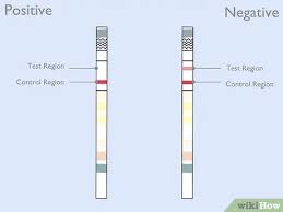 One red line should be in the control region (c), and another apparent red or pink line adjacent should be in the test region (t). Easy Ways To Read Drug Test Results 10 Steps With Pictures