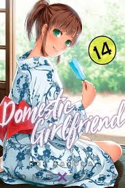 Domestic Girlfriend Volume 14 Domestic Na Kanojo Manga Book Walker