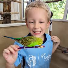 Carousel, goats, budgies, camels, and soccer . #weekendfun