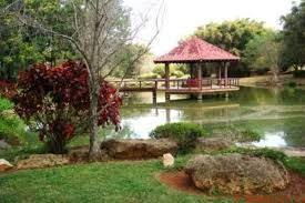Resultado De Imagen Para Jardin Botanico De Santo Domingo Brighton House Styles Outdoor Decor