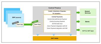 Vhl central username or email address. Central Payments In Sap S 4hana Central Finance Sap Blogs
