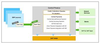 Businesses might still swipe a card or enter in a card number, but it's usually done via an electronic card reader, also called a payment terminal. Central Payments In Sap S 4hana Central Finance Sap Blogs