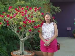 Contributions to the tribute of Debra Ann Millsap