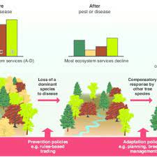 The existence of nests, droppings, animal sounds and damage to your property could be indicators of pest infestations in your home. Pdf The Consequence Of Tree Pests And Diseases For Ecosystem Services