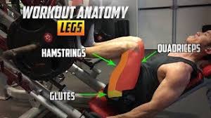 This guide will demonstrate some basic exercises for the legs. Leg Workout Anatomy The Muscles Involved In Leg Exercises Youtube