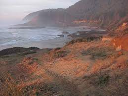 Strawberry hills lies along highway 101, at milepost 169.3. Layered And Rugged Beauty Of Strawberry Hill Wayside Oregon Coast