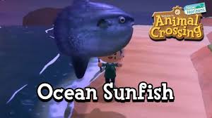 Catching The Ocean Sunfish Animal Crossing New Horizons Youtube