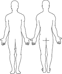 Blank Body Chart Free Download