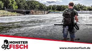 Angeln An Der Enz Bei Bietigheim Bissingen Monsterfisch 19km nördlich von stuttgart und liegt an. enz bei bietigheim bissingen