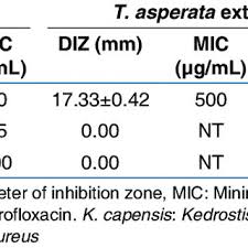 Image result for Kedrostis capensis