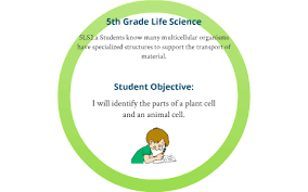 Questions include labeling cell parts your fourth grade and fifth grade students will love looking under the microscope, watching cool videos, and exploring cell parts with the organelle trail project. Parts Of A Cell By Samantha Nishikawa