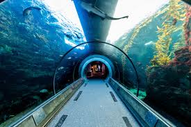 California is the most diverse state in the nation, home to nearly 40 million people, and is geographically bigger than england. 19 Fun Things To Do In Los Angeles California With Teenagers