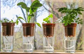 Then run your tube from the pump through the hole and connect to. Diy Hydroponic Gardening Molly Green