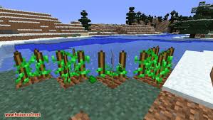Are you a fan of the famous dragon ball z? Dragon Ball Mod 1 12 2 1 11 2 Summoning Shenron The Eternal Dragon 99minecraft