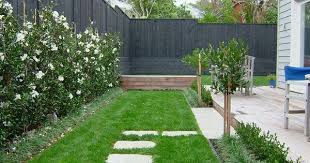 White Camellia Hedge For The Garden Classic Low Maintenance And Blooms A Long Time Landscaping With Rocks Hedges Hedging Plants