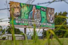 Carole baskin's husband, howard, recorded a facebook video to air his grievances about the show. Tiger King Zoo Surrendered To Carole Baskin S Big Cat Rescue But Animals Still In Limbo