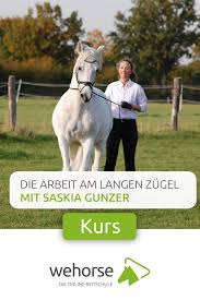 Wertvolle Gymnastizierung Und Abwechslung Die Arbeit Am Langen Zugel Arbeit Abwechslung Pferd