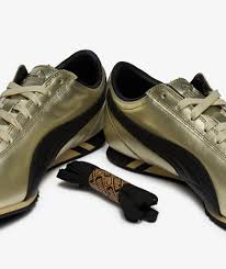Image result for Citrus Gold 2001 Puma