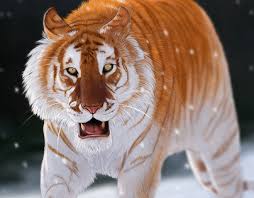 Many many hours of work has, maybe, paid off! Golden Tabby Tiger Projects Photos Videos Logos Illustrations And Branding On Behance