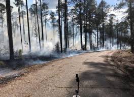 The A.J. and Nona Trigg Hodges Foundation Wins 2024 Southern Region  Outstanding Tree Farmer of the Year Award
