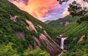 Discovering Yakushima Island for Nature-Lovers | YABAI - The Modern,  Vibrant Face of Japan