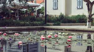 Maybe you would like to learn more about one of these? 24 Stunning Koi Pond Design Ideas