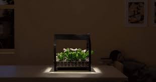 Ever wondered if you could grow vegetables in your apartment? Ikea S Indoor Garden Lets You Grow Vegetables All Year Round Totally Vegan Buzz