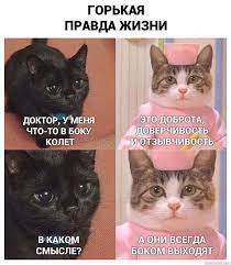 Мемы - горькая правда | Facebook