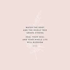 Water The Root And The Whole Tree Grows Strong Heal The Soul And Your Whole Life Will Blossom Words Quotes Words Inspirational Quotes