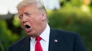 Näytä lisää sivusta donald j. Trump Weighs In On Crypto