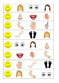 Body parts esl printable word search puzzle worksheet. Body Parts Online Exercise For Kindergarten