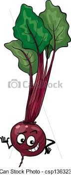 Beetroot Stock Illustration Images 4 774 Beetroot Illustrations Available To Search From Thousands Of Royalty Free Eps Vector Clip Art Graphics Image Creators Download in under 30 seconds. eps vector clip art graphics image