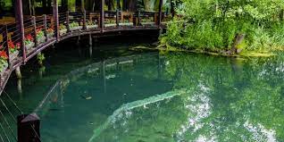 Welcome to the casa din padure! Casa Din Padura House In The Forest Hotel Garni Outdooractive Com