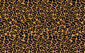 Pickupimage is the largest collections of free photographs. Animal Print Wallpapers Top Free Animal Print Backgrounds Wallpaperaccess