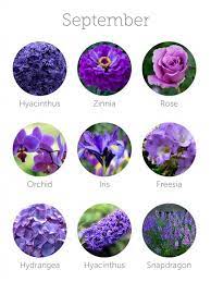 See more ideas about wedding, september wedding, wedding decorations. September Wedding Flowers Bridal Bouquet Inspiration Flowers Topweddingsites Com