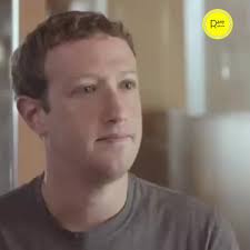 Mark Zuckerberg Fairy