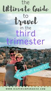 Traveling In The Third Trimester Traveling Pregnant Travelling While Pregnant Third Trimester