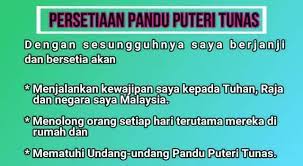 Persatuan pandu puteri tunas sjkc union ditubuhkan pada tahun 1965 dan berdaftar di persatuan pandu puteri pulau pinang sebagai persatuan pandu dalam pertemuan kumpulan, ahli dibahagi mengikut tahap untuk mempelajari tentang pengetahuan asas pandu puteri tunas dan juga aktiviti. Unit Beruniform Unit Ko Kurikulum Sk Batu Belah Klang