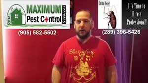 When annoying pests have invaded your space, give avid pest services in hamilton ontario a call. Maximum Pest Control Services