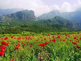 .أخرى فيزداد طوله ويصبح مستعد لإختراق الكس وبالتأكيد هناك إختلاف في طبيعة الممارسة و الإحساس بين القضيب الطويل و القصير. Ø·Ø¨ÙŠØ¹Ø© Ø§Ù„Ø¬Ø²Ø§Ø¦Ø± Ø§ÙØ¶Ù„ ÙƒÙŠÙ