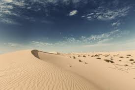 A desert in north africa, the largest hot desert in the world. The Sahara Was Full Of Water And Animal Life
