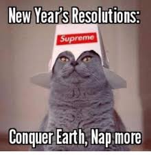Best New Years Resolution In 2020 Funny New Years Memes New Years Resolution Funny Happy New Year Funny