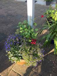 Erkundung der höhle steinernes haus auf der schwäbischen alb artikel zum film auf. Advent 2015 Picture Of Haus Craemer Witten Tripadvisor