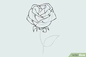 We will continue to draw the rose in the next step, but for now, add the stem to the bud. How To Draw A Flower Wikihow
