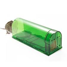 I made this no kill mouse trap with a funnel, bottle, nails and a hot glue gun. 6 Best Mouse Traps Of 2021 Most Effective Traps For Mice