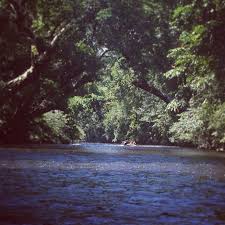 Taman Negara National Park In Jerantut Pahang Taman Negara National Parks Travel Around The World