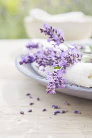 The flower spikes are popularly dried and used in flower arranging. 30 Great Lavender Plant Recipes And Uses How To Grow Lavender