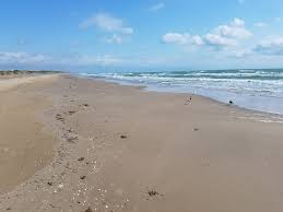 Maybe you would like to learn more about one of these? The Guide To Texas Beaches