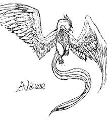 Printable pokemon coloring pages for kids free coloring sheets by gaddynippercrayons.com. Pin On Articuno Coloring Pages